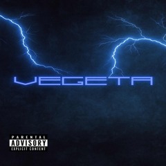 SPACELINEN - VEGETA