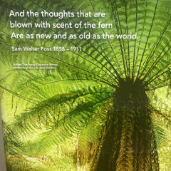 WALKING IN AN OLD WORLD