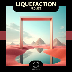 Liquefaction - Provide (Lizplay Records)