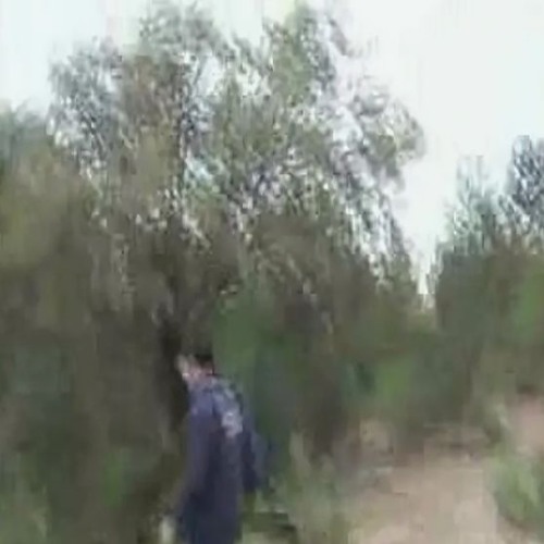 я хочу вернуться обратно