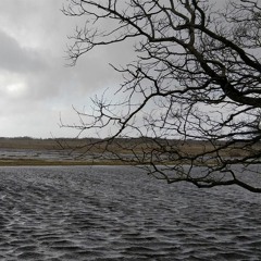 Urban Moss - Eternal Space - Disquiet0428