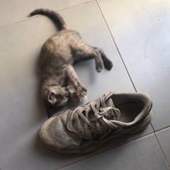MIX tranqui tronqui