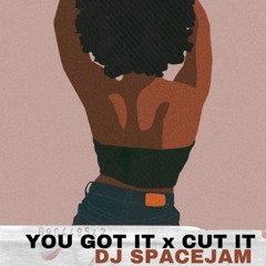 You Got It X Cut It