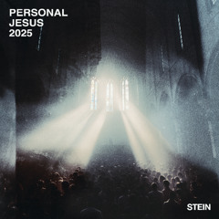 Depeche Mode - Personal Jesus (STEIN 2025 Remix)