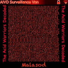 The Acid Warriors Decoded MIXED