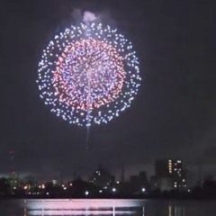 2022.11.1 - 11.8