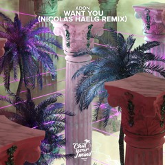 Adon - Want You (Nicolas Haelg Remix)