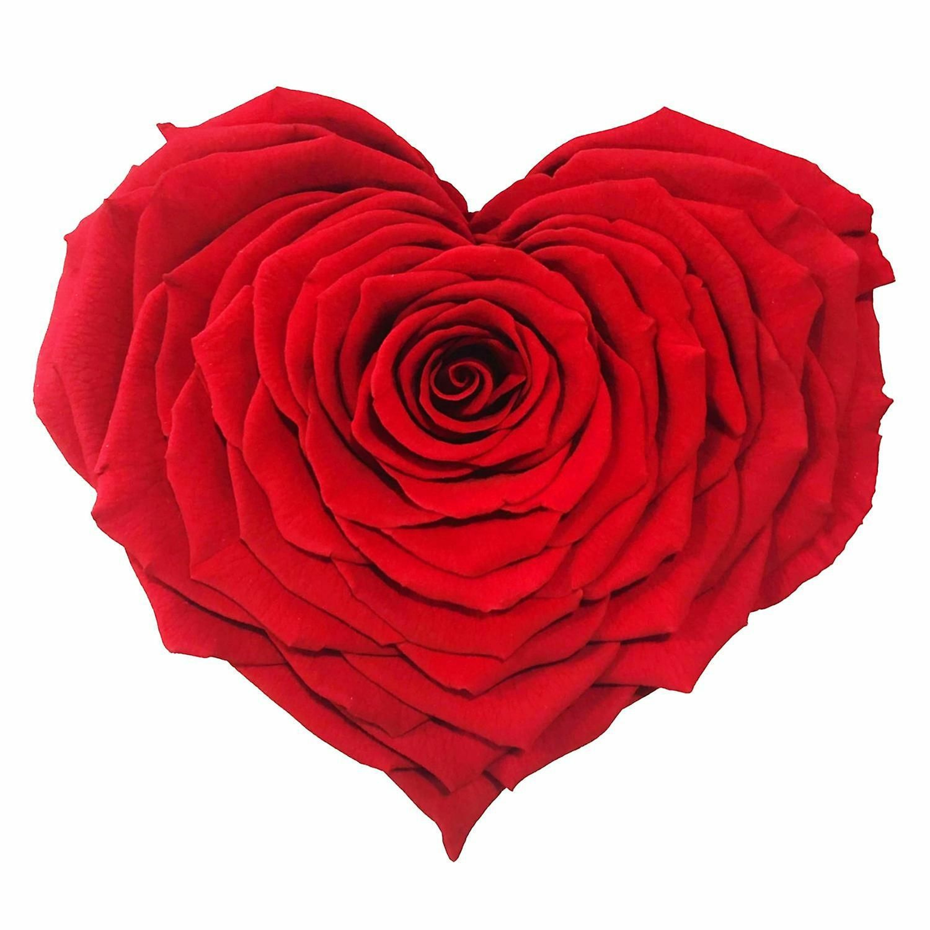 Roses Are Red episode artwork