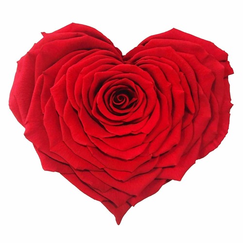 Roses Are Red