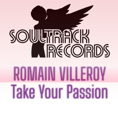 Romain Villeroy - Take Your Passion (Original Mix)