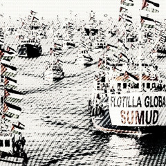 if sumud flotilla reach gaza