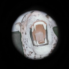 ΔΑΙΔΑΛΑ - συνέντευξη με τον Μανώλη Παπαδάκη