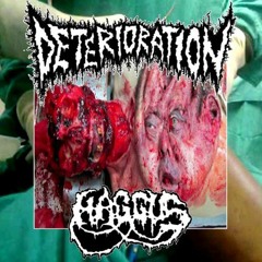 Haggus Deterioration split 7