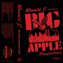 DJ RONALD J. & DJ JON B.- RAP CITY GET MONEY (LIES-213)