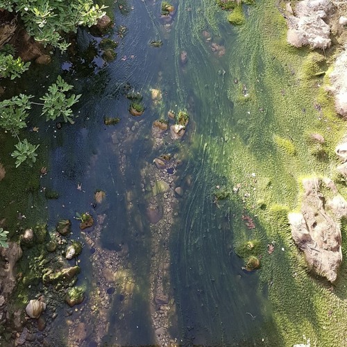 Ambient mixes