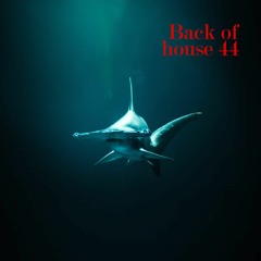 Back of house v.44