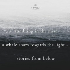 Rumbling In The Mist  naviarhaiku326