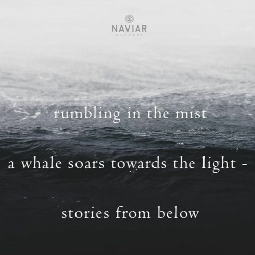 Rumbling In The Mist  naviarhaiku326