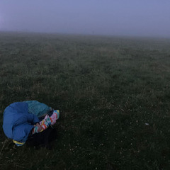 a-deep-dive-zelda-rhiando