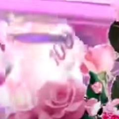 "*~`c r a b  w a l k  "*~`