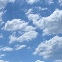 lucidbuffalo (live) @ Kollektives Planschen und Tanzen 17.05