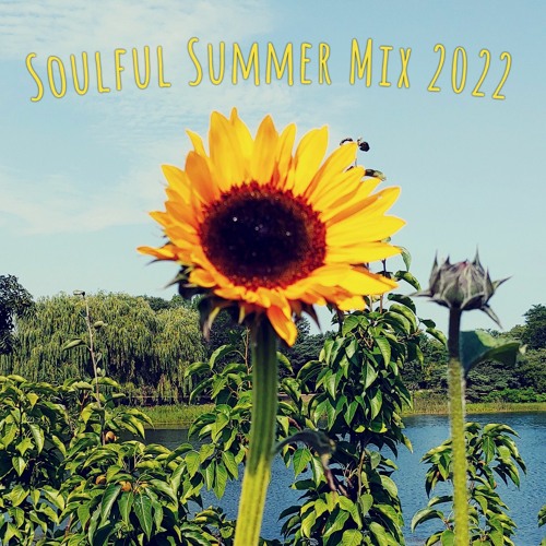 Soulful Summer Mix 2022