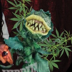 unknown track 666 prod by me