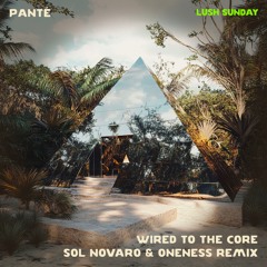 Panté - Wired To The Core (Sol Novaro & ONENESS Remix)