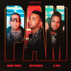 01 Justin Quiles Ft Daddy Yankee Ft El Alfa - Pam (Acapella) - DJGabrielEdit (Intro+Outro 115 BPM)