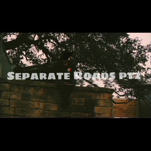 Separate Roads PT.2 (Feat. stvr)