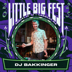 little BIG Festival - DJ set