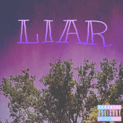 LIAR (Prod.Dercept)