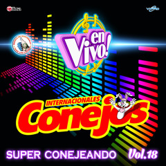 Tropicumbias del Recuerdo: Mil Horas / Jugo de Piña / La Suavecita / La Chispita (En Vivo)
