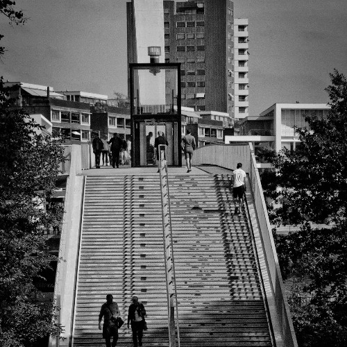 50. Shame is no place to live - Cody Hochstenbach