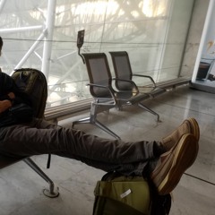 Des oiseaux longs et silencieux