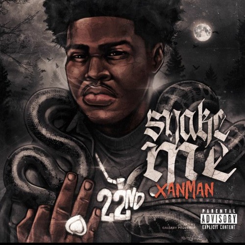 Section 8 Pt 2