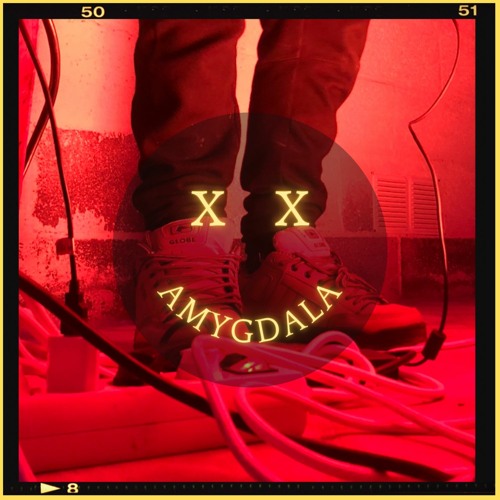 RAPSOTEK - AMYGDALA