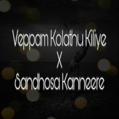 Dj Nirrosh - Veppam Kolathu Kiliye X Sandhosa Kanneere