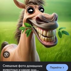 У НАС ЖИВЁТ ЭЪ HOODTRAP REMIX JERK ULTIMATE GEMATOGEN