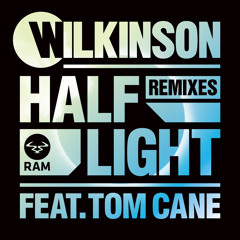 Wilkinson - Half Light (Audio Remix) [feat. Tom Cane]