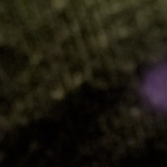 Void Fungi