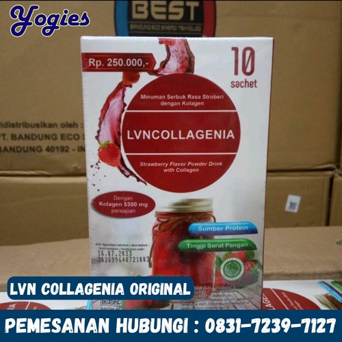 WA : 0831-7239-7127, Lvn Collagen Review kota probolinggo