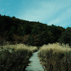 Log_20251104（demo）