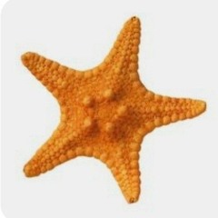 ◇