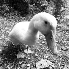 Roy Bar - Built Different [Instrumental 143bpm]