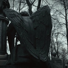 MANIFESTATION