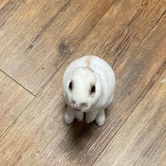 testing9259190250912