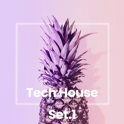 ¶ Temuco Liveset  π Tech House π 🍍