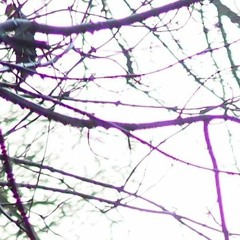 Aberration