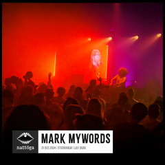 Mark Mywords | Dec 2024 | Lily Dusk